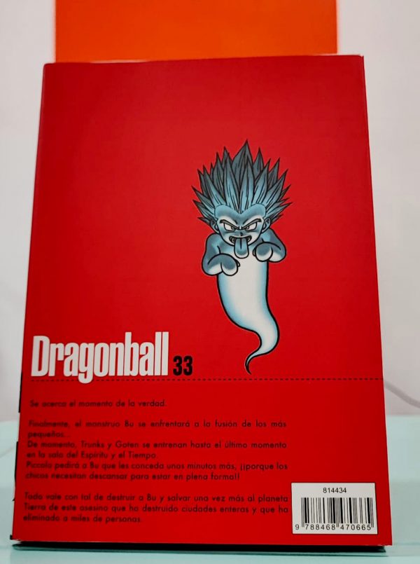 comic_dragon_ball_vol33_3
